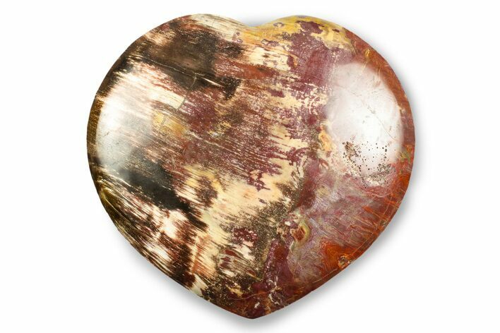 Polished Triassic Petrified Wood Heart - Madagascar #246092